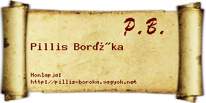 Pillis Boróka névjegykártya